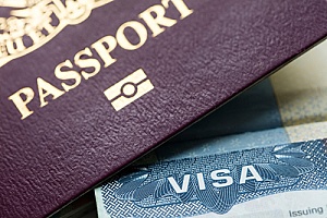 a passport next to an L-1 visa held by a professional employee